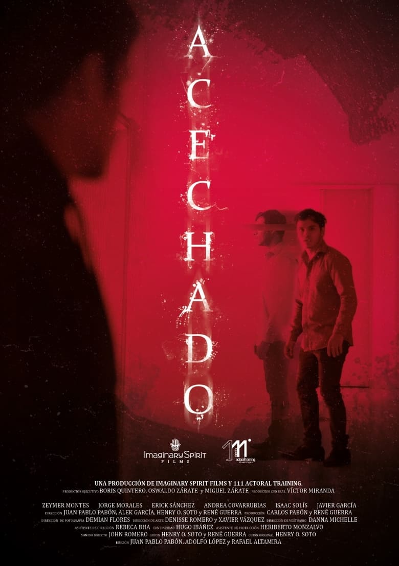 Poster of Followed