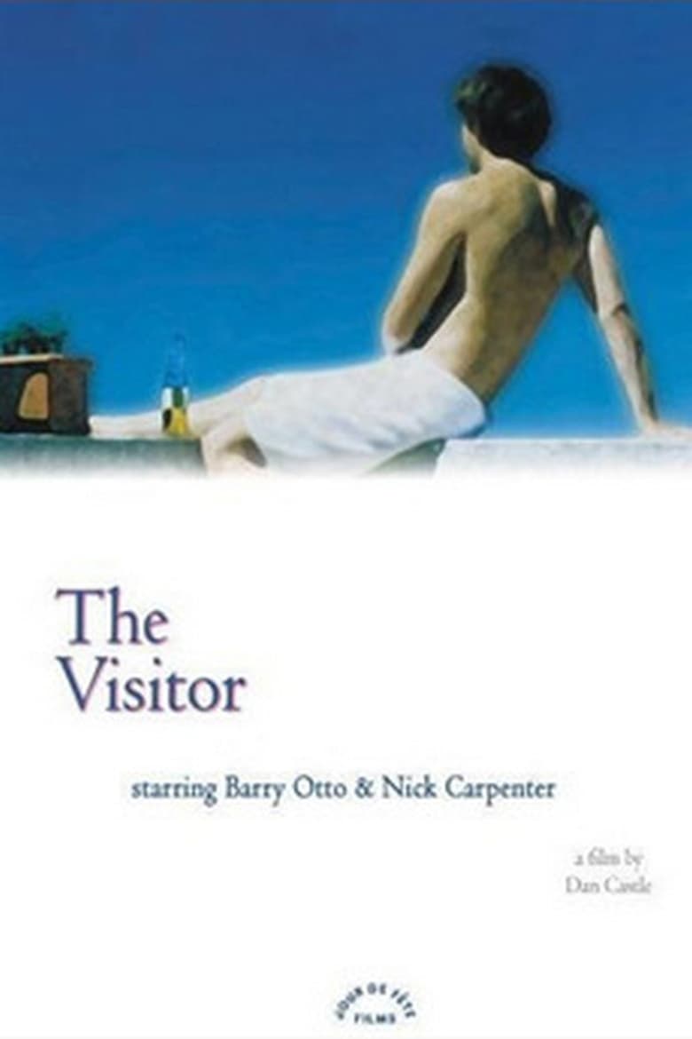 Poster of The Visitor