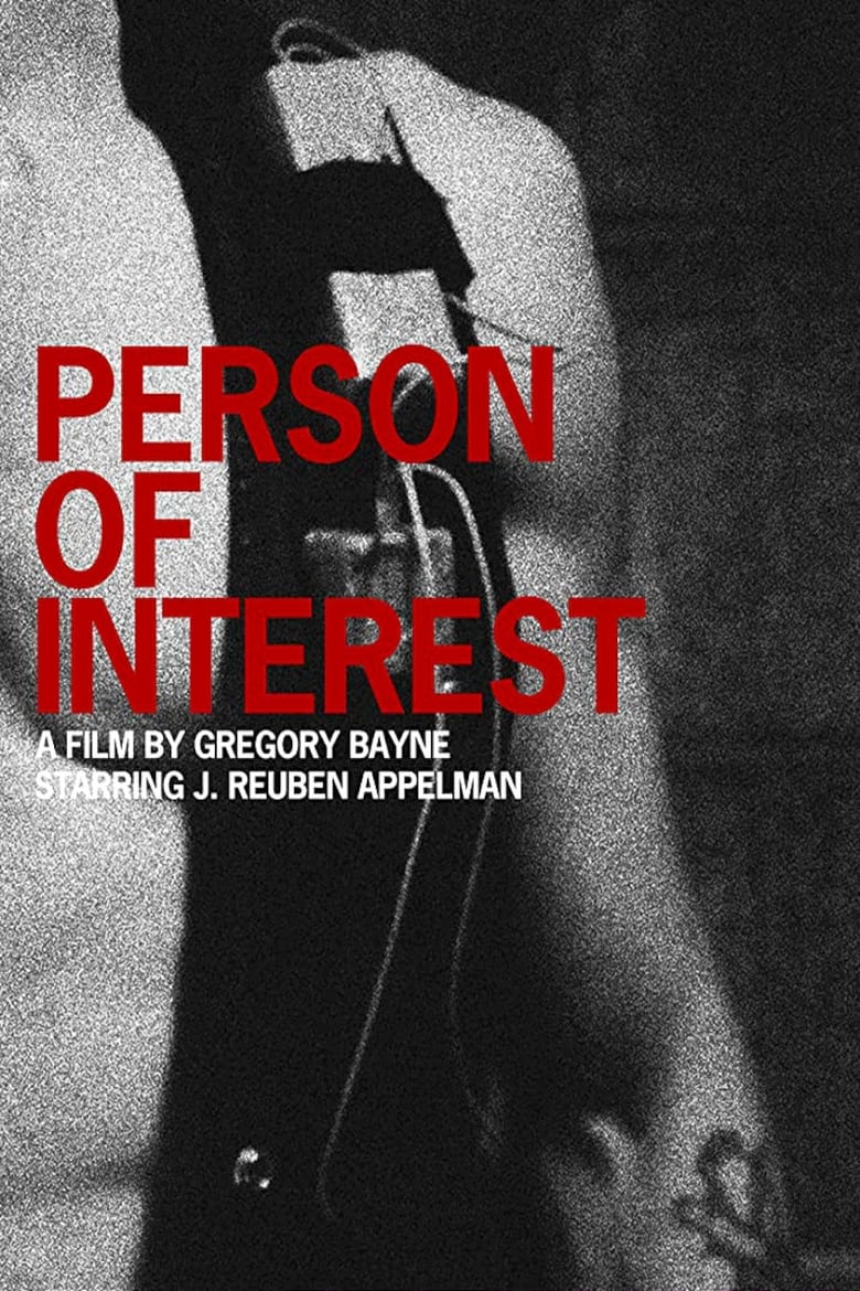 Poster of Person of Interest