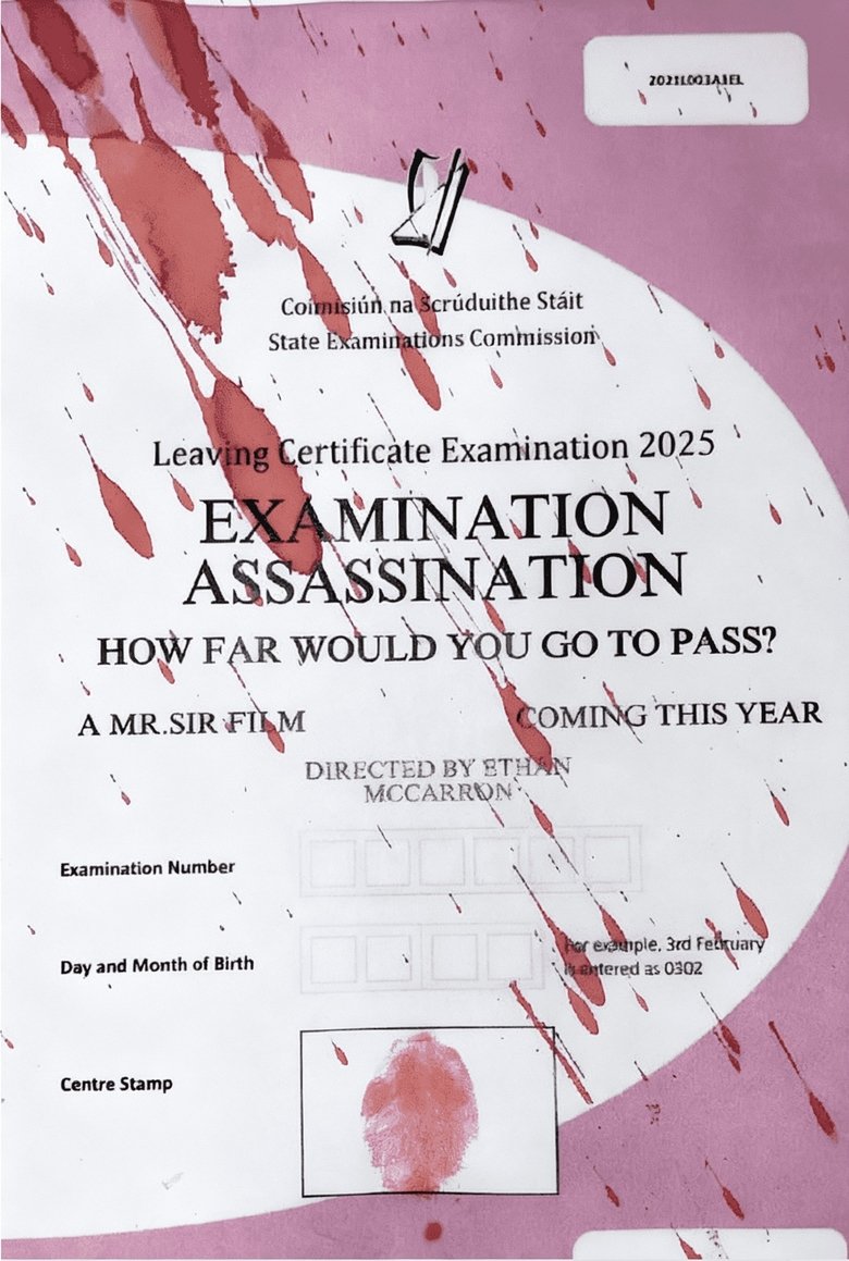 Poster of Examination Assassination
