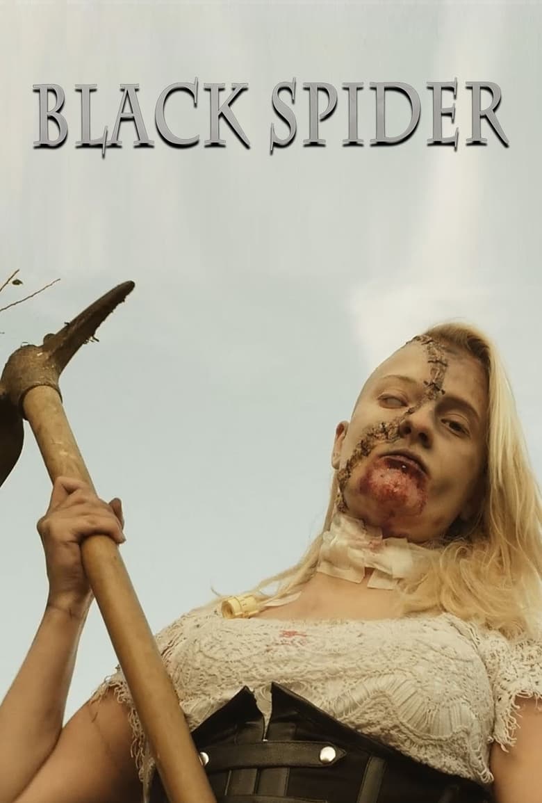 Poster of Black Spider