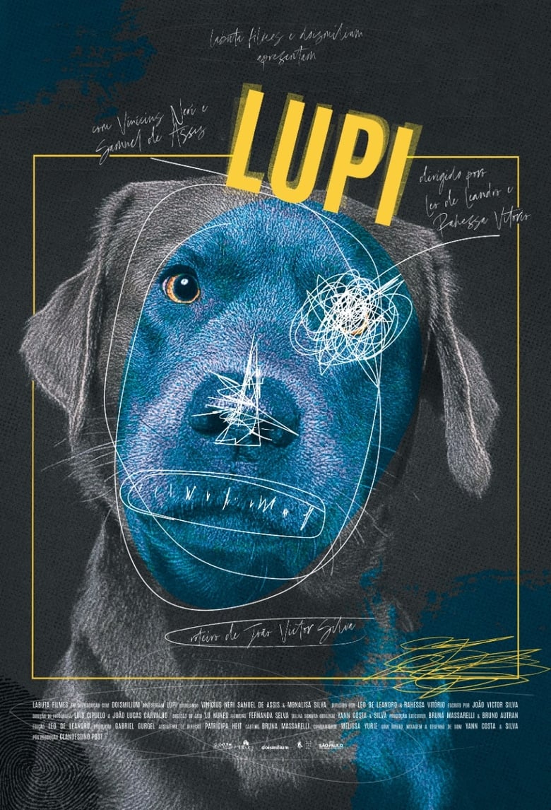 Poster of LUPI