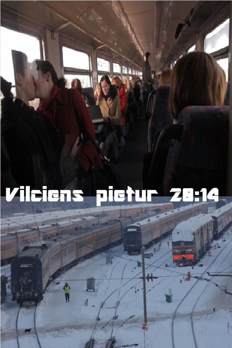 Poster of The Train Stops at 20:14