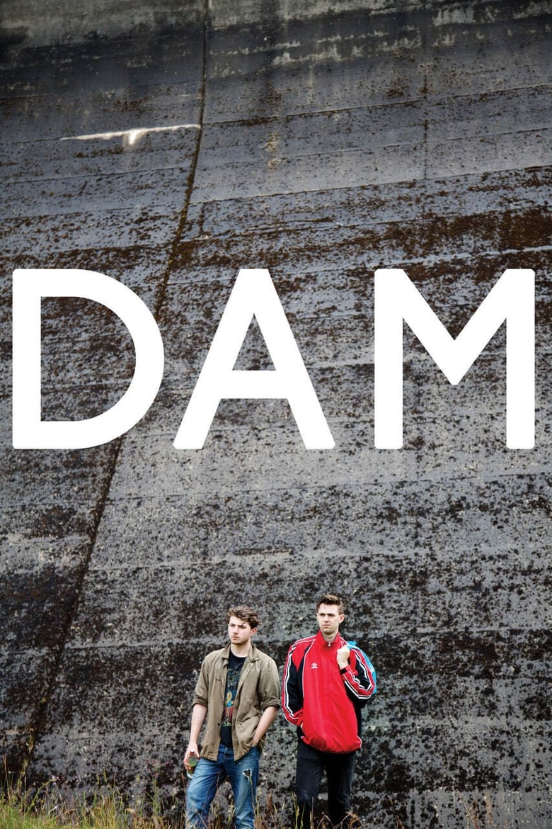 Poster of Dam