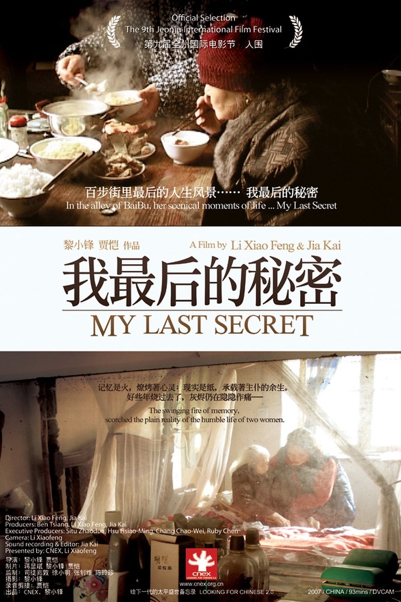 Poster of My Last Secret