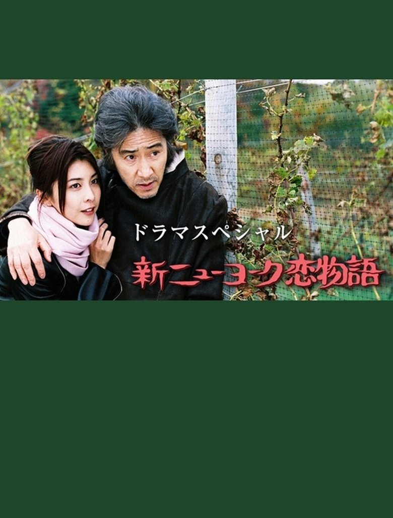 Poster of New York Love Story