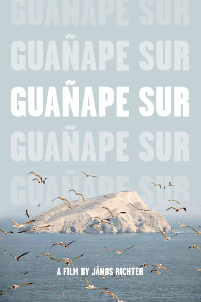 Poster of Guañape sur