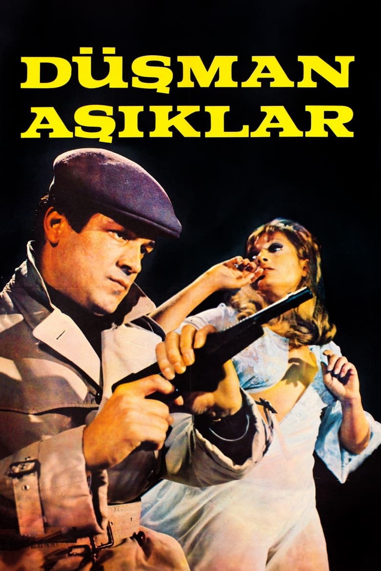 Poster of Düşman Aşıklar