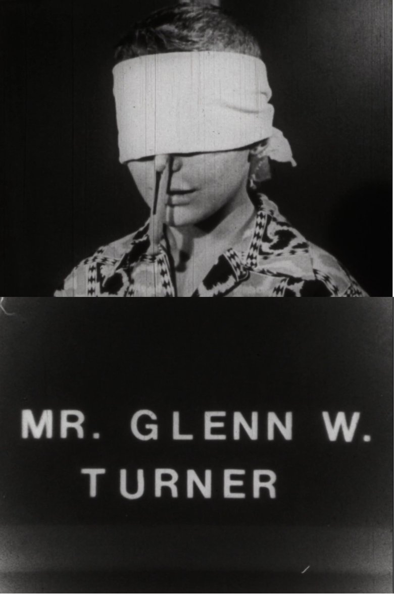 Poster of Mr. Glenn W. Turner