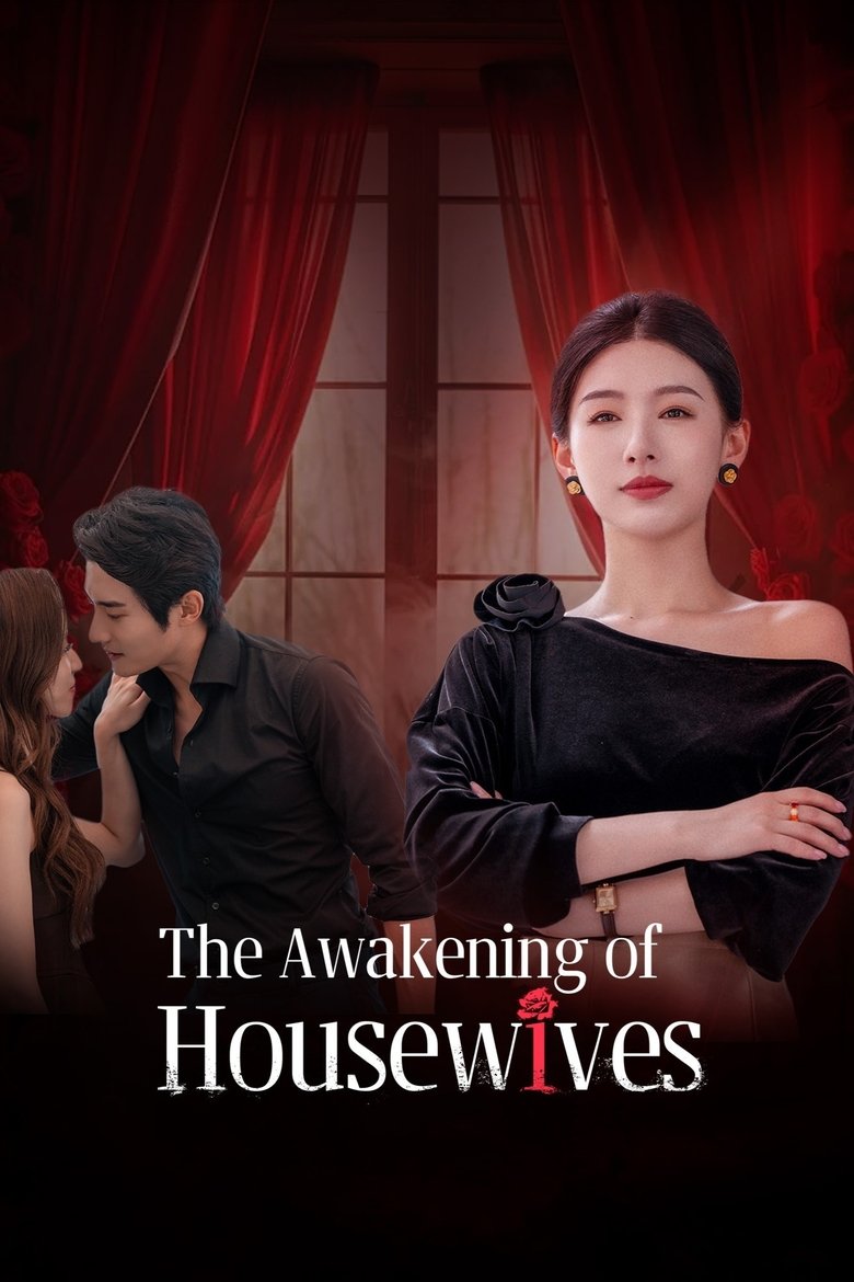 Poster of The Awakening of Housewives