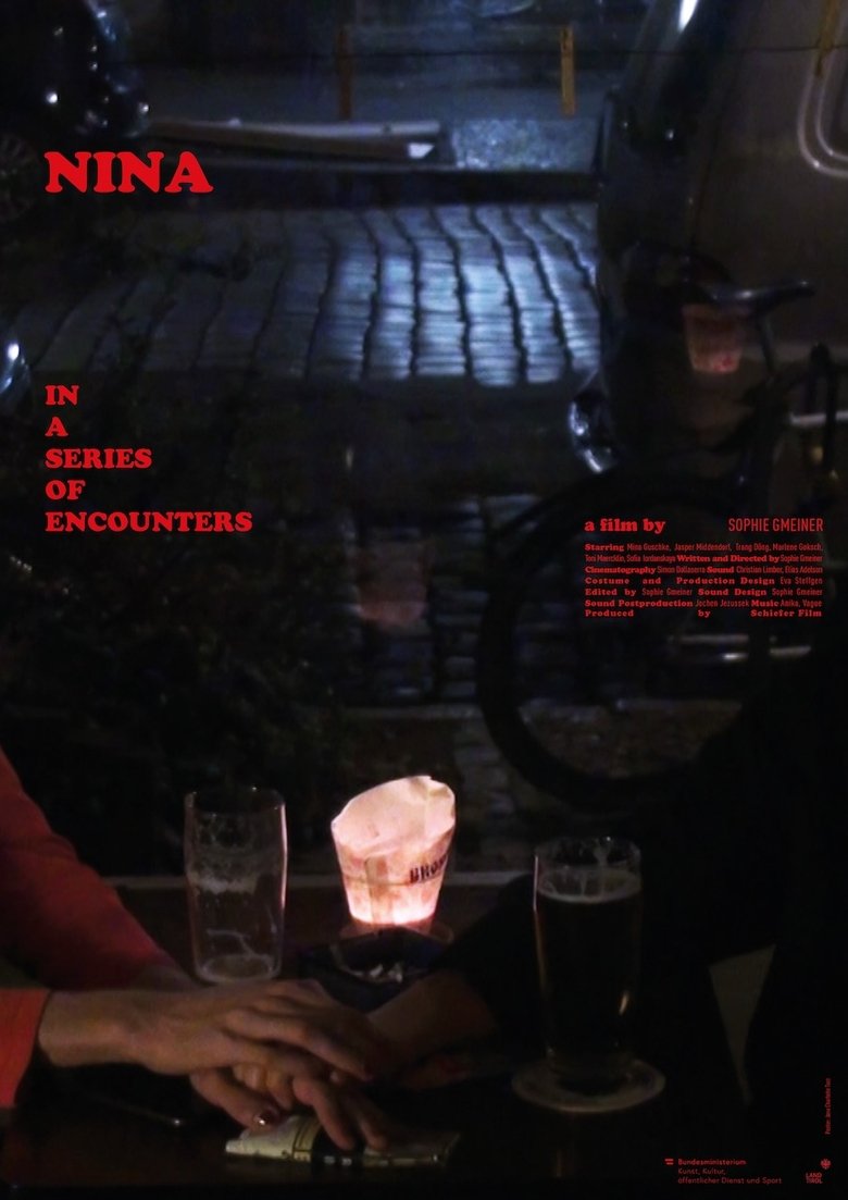 Poster of NINA IN EINER REIHE BEGEGNUNGEN