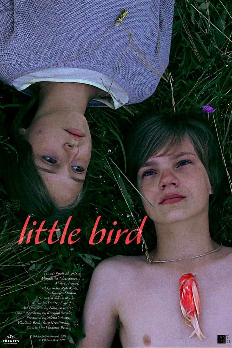 Poster of Little Bird