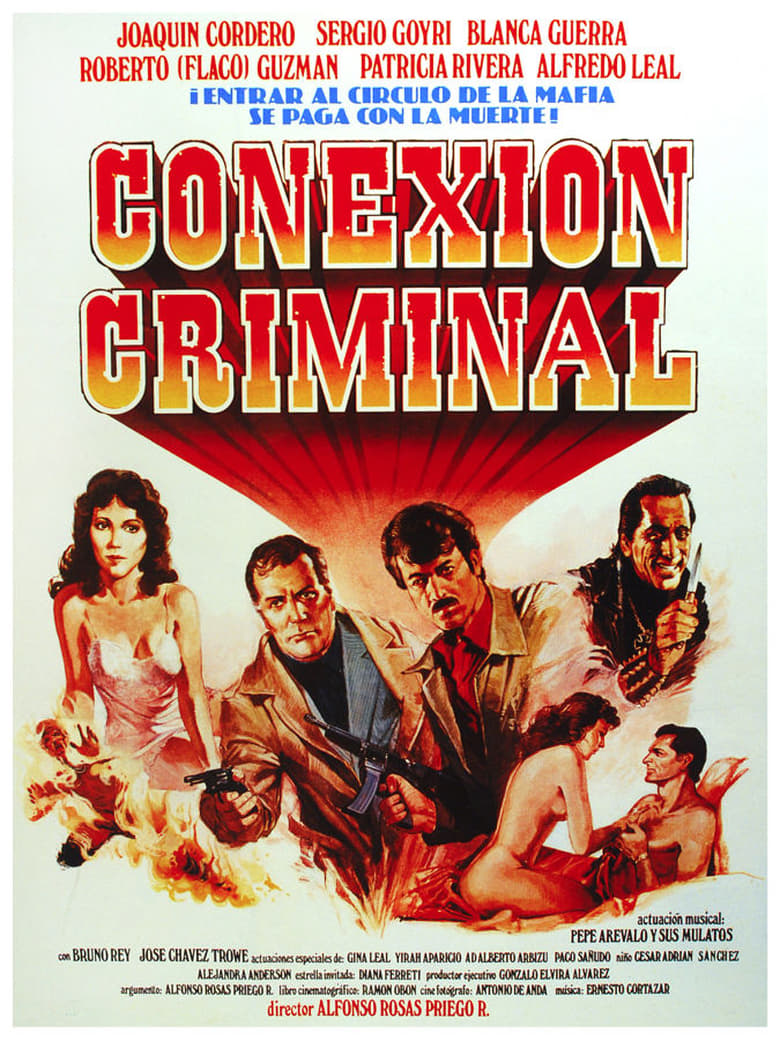 Poster of Conexión Criminal