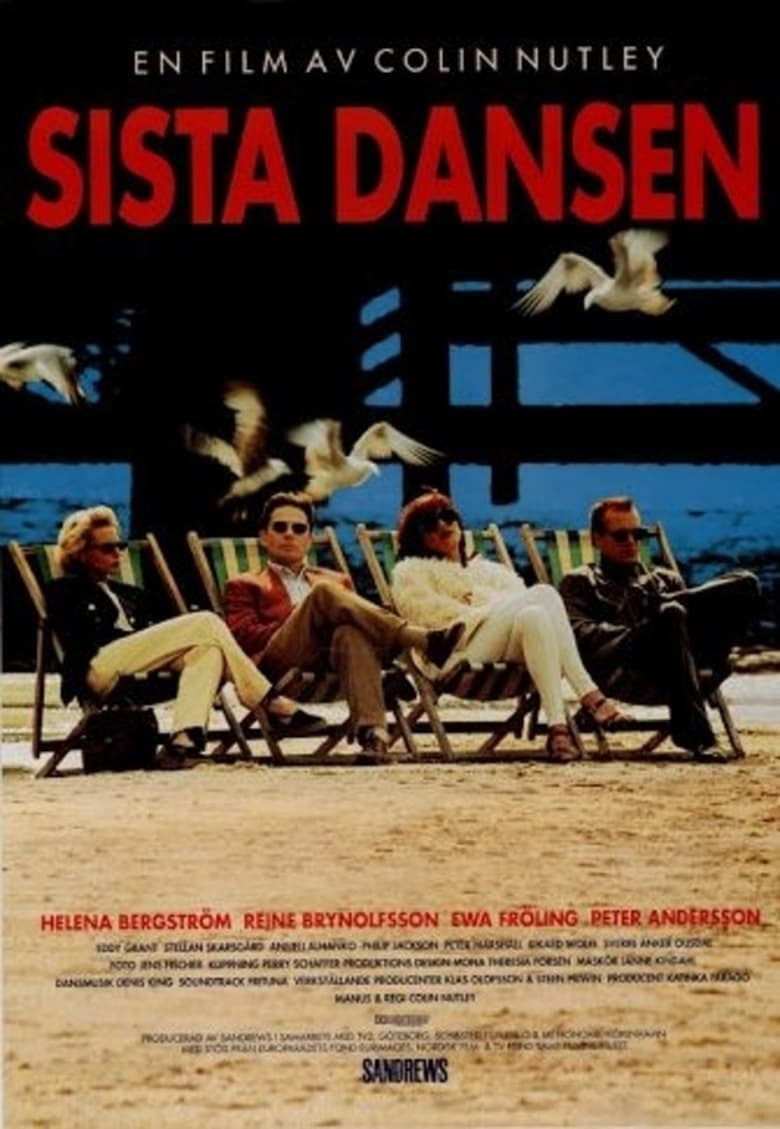 Poster of The Last Dance