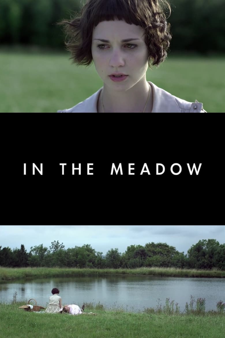 Poster of In the Meadow