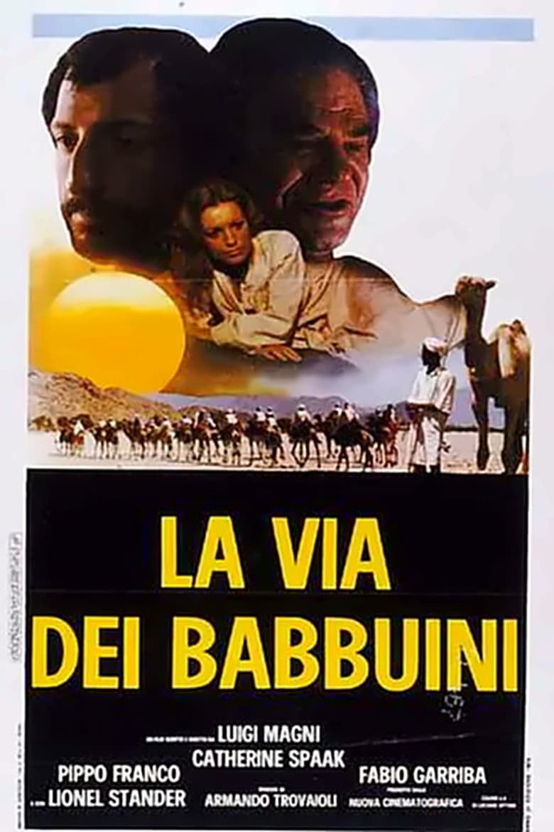 Poster of The Way of the Baboons