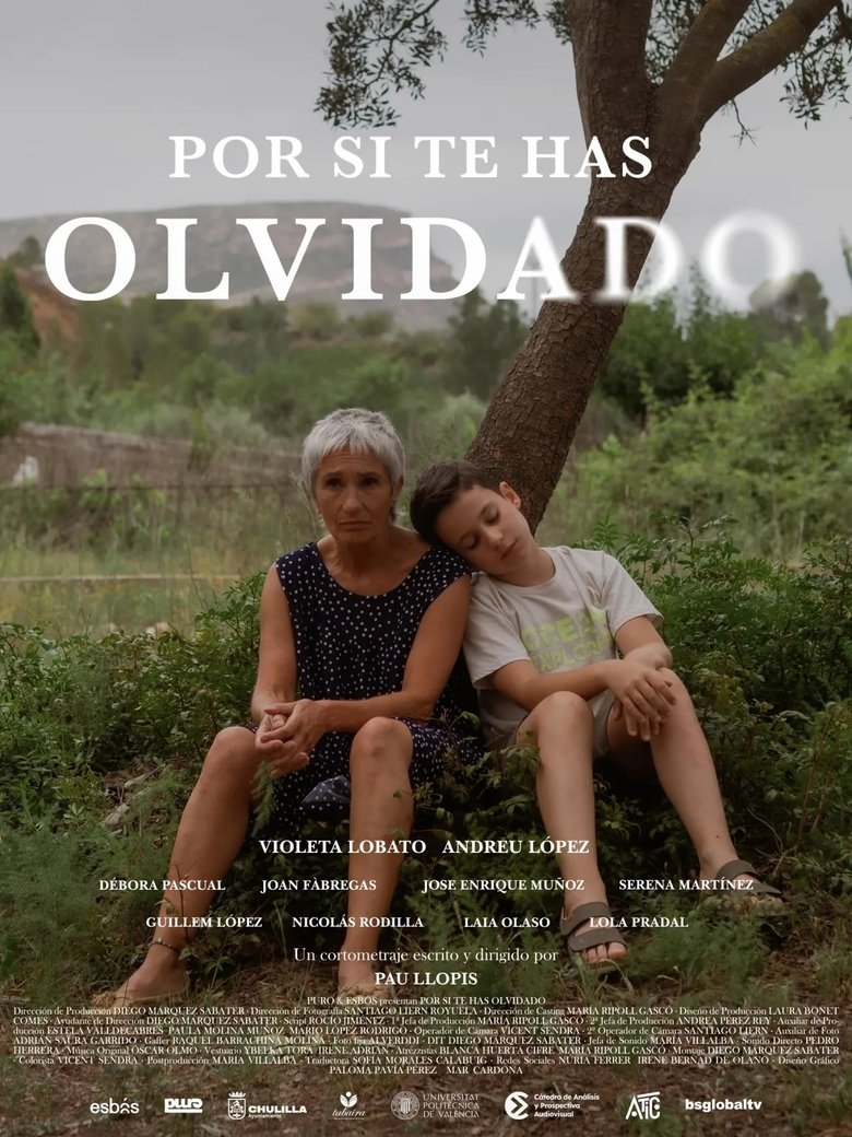 Poster of Por si te has olvidado