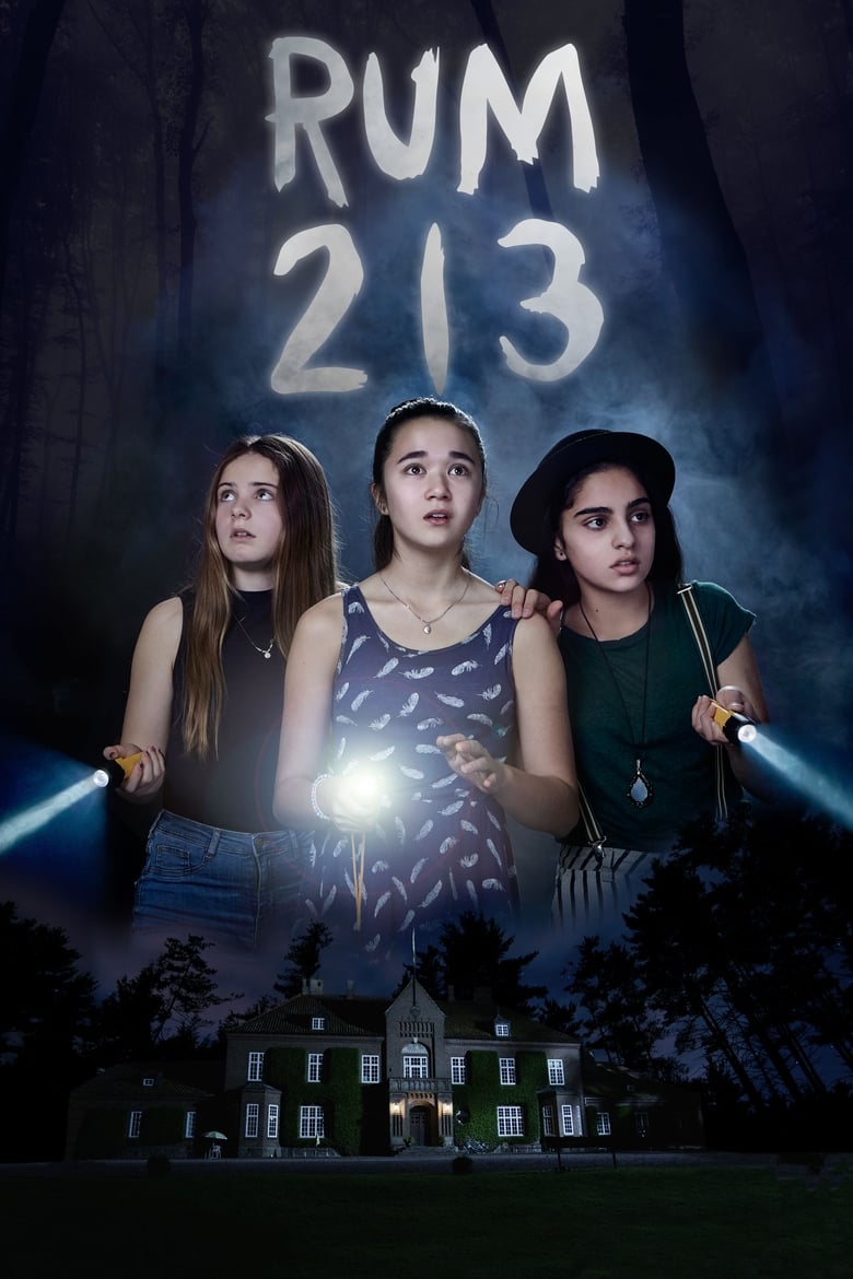 Poster of Room 213