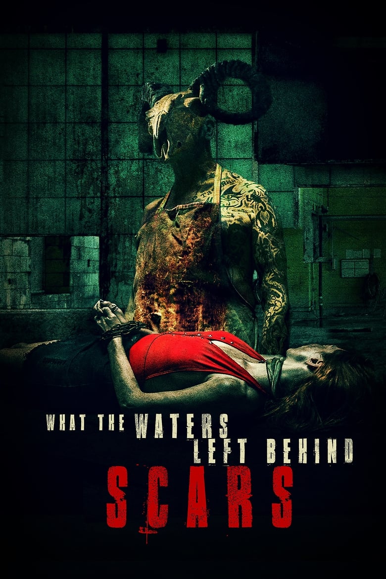 Poster of What the Waters Left Behind: Scars