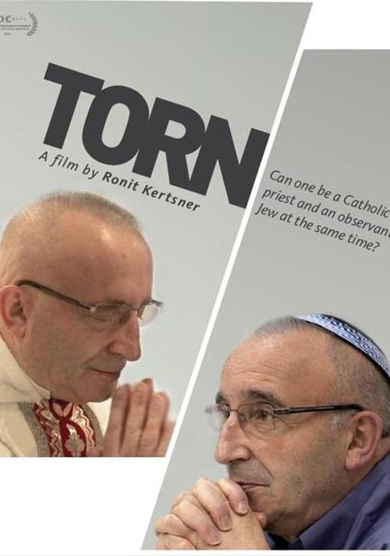 Poster of Torn