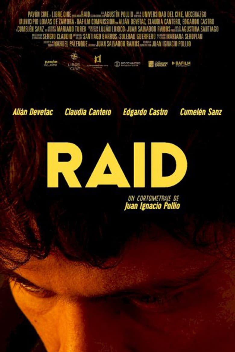 Poster of Raid