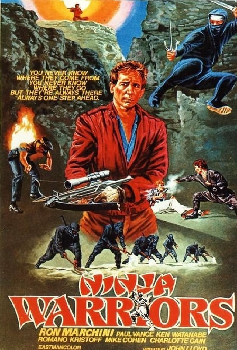 Poster of Ninja Warriors