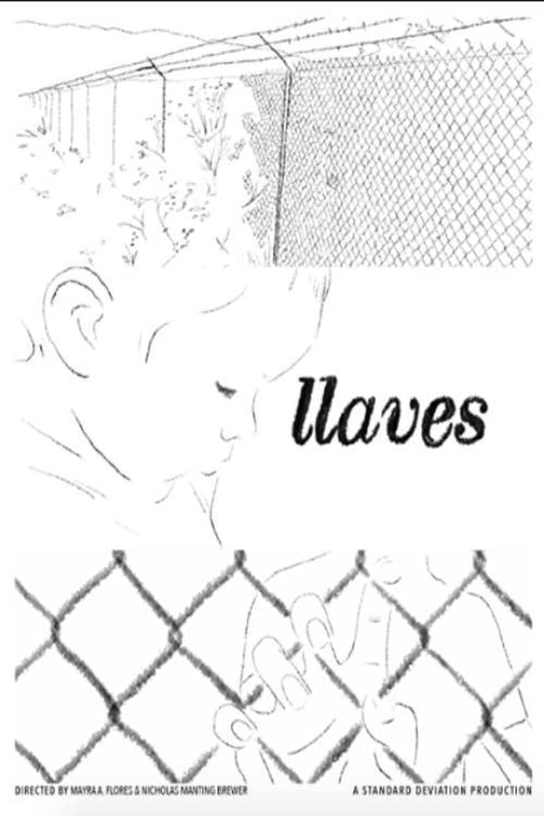 Poster of Llaves