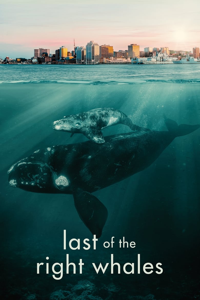 Poster of Last of the Right Whales