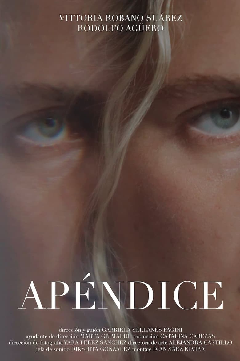 Poster of Apéndice