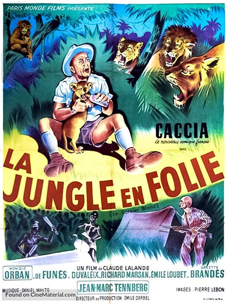 Poster of The Crazy Jungle