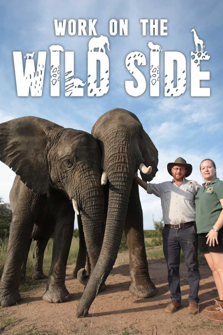 Poster of Work on the Wild Side