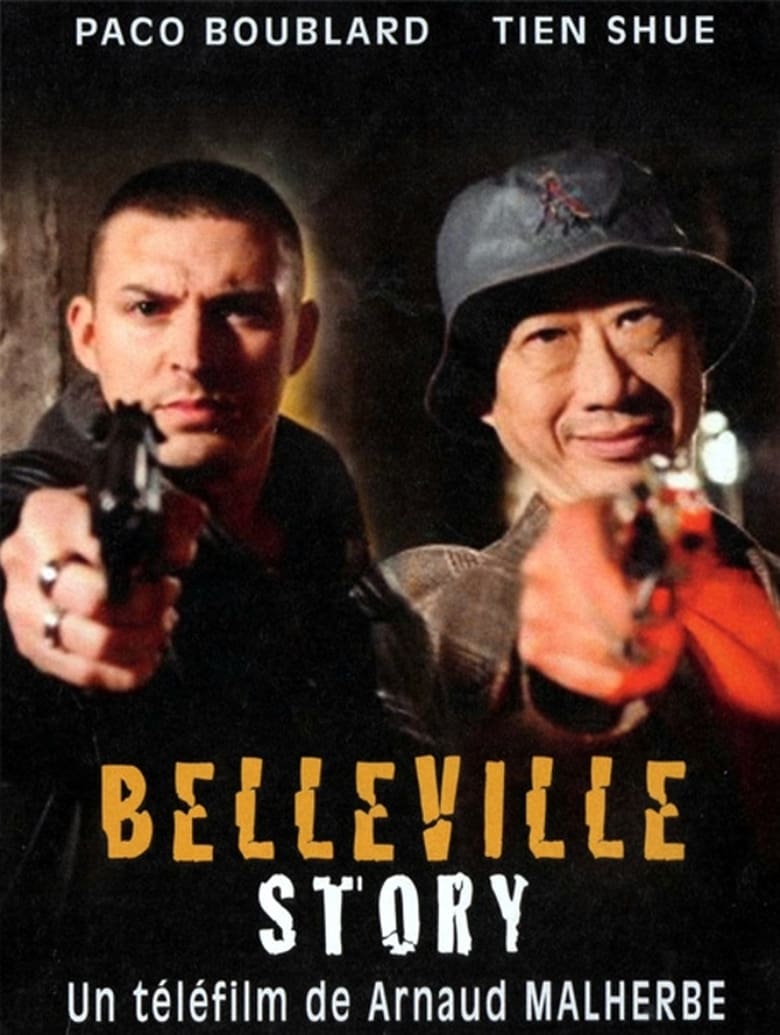 Poster of Belleville Story