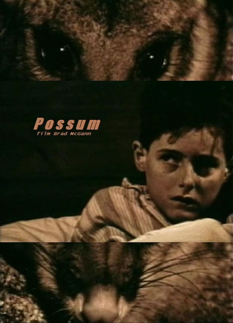 Poster of Possum