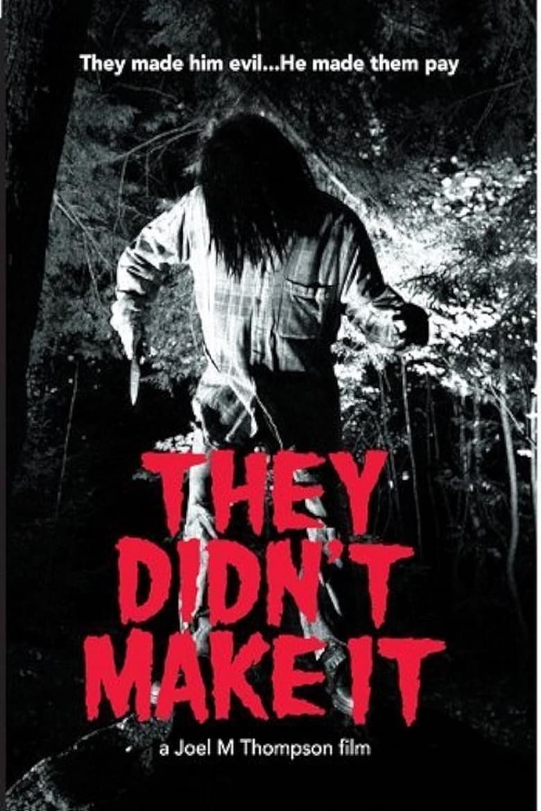 Poster of They Didn't Make it