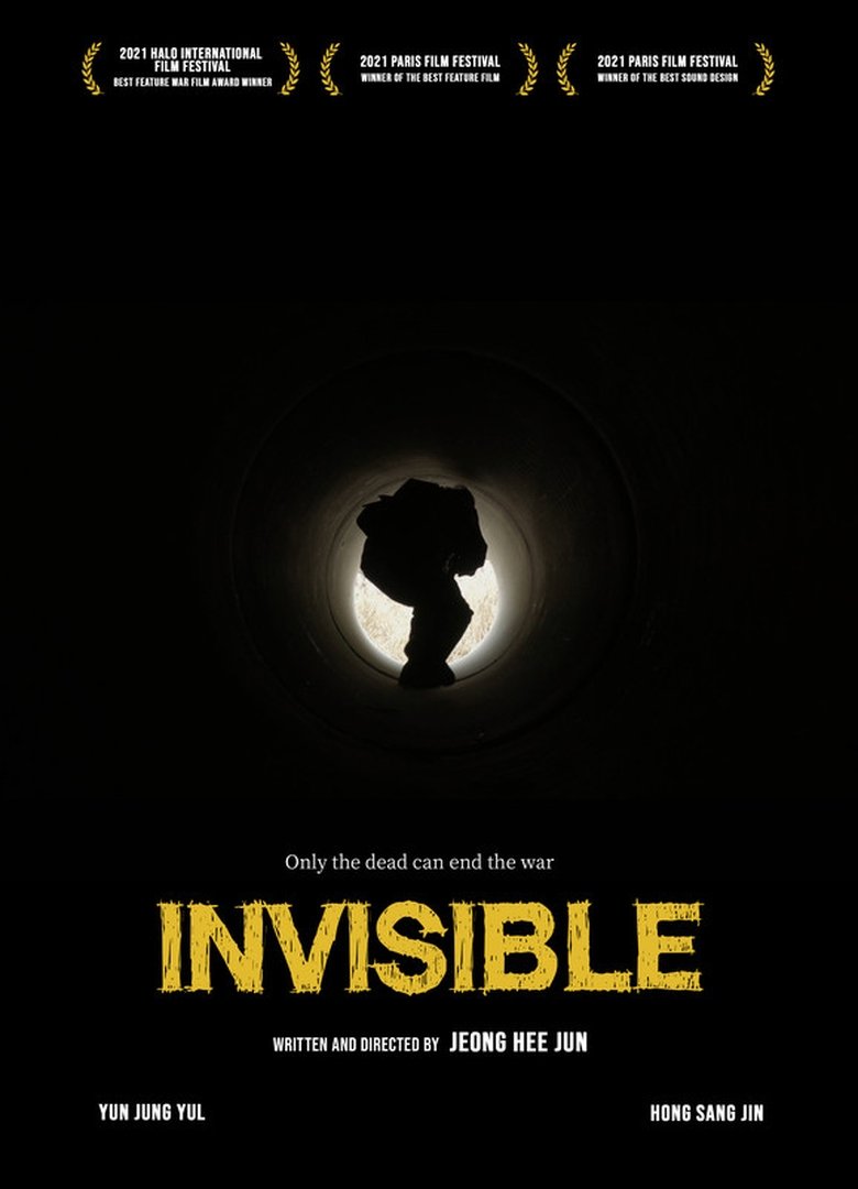 Poster of Invisible