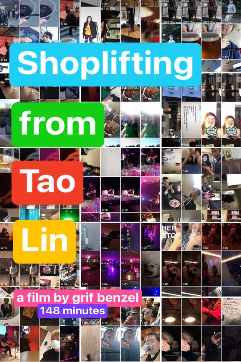 Poster of Shoplifting from Tao Lin