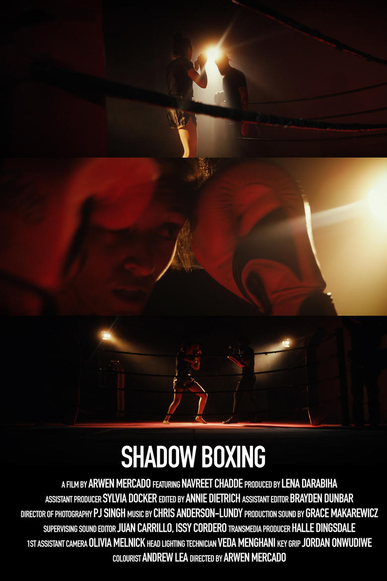 Poster of Shadow Boxing