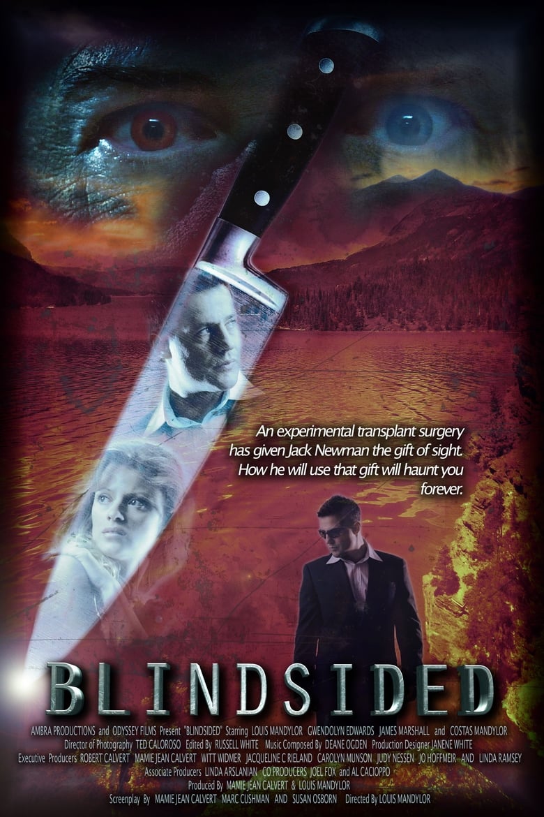 Poster of Blindsided