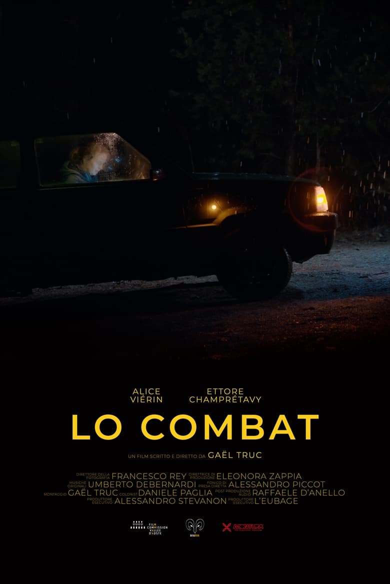 Poster of Lo Combat