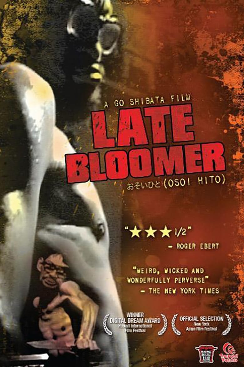 Poster of Late Bloomer