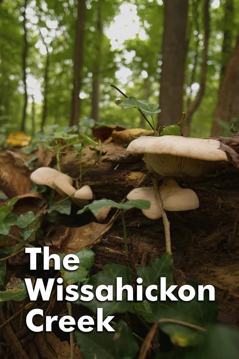 Poster of The Wissahickon Creek