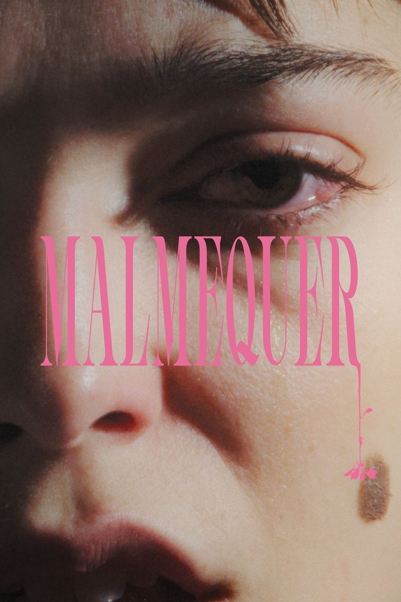 Poster of Malmequer