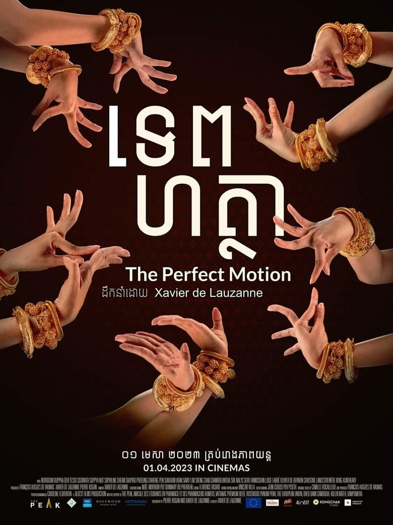 Poster of The Perfect Motion