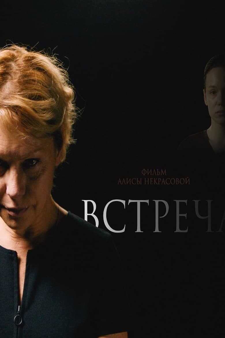 Poster of Встреча