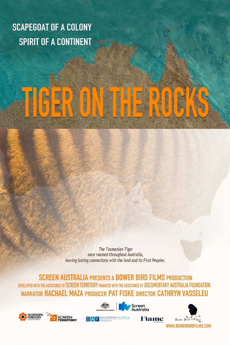 Poster of Tiger on the Rocks