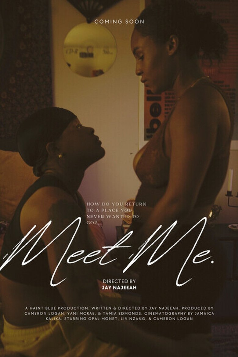 Poster of Meet Me.
