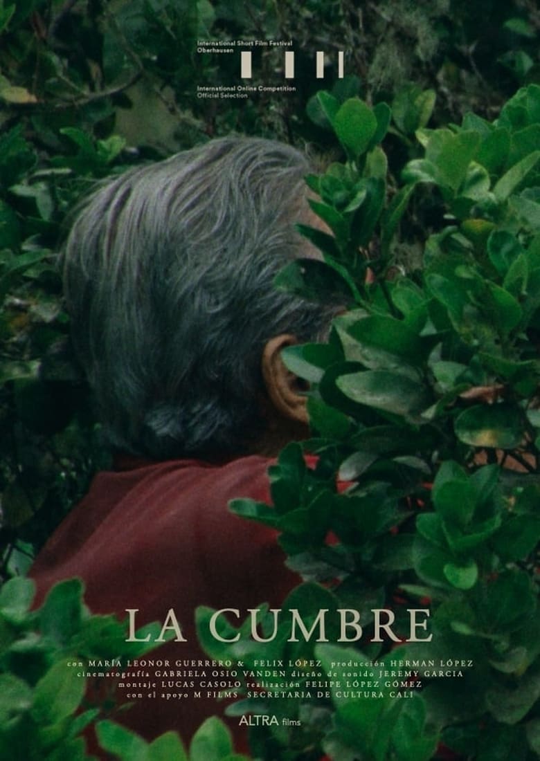 Poster of La Cumbre