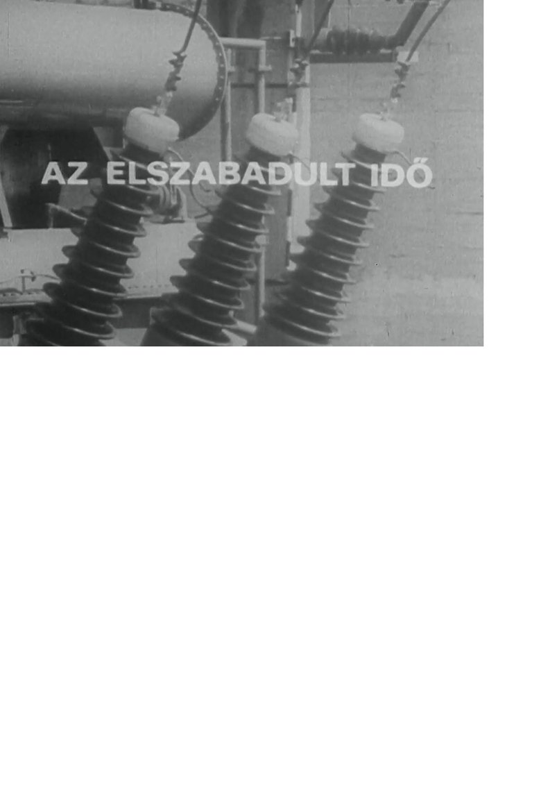 Poster of Az elszabadult idő