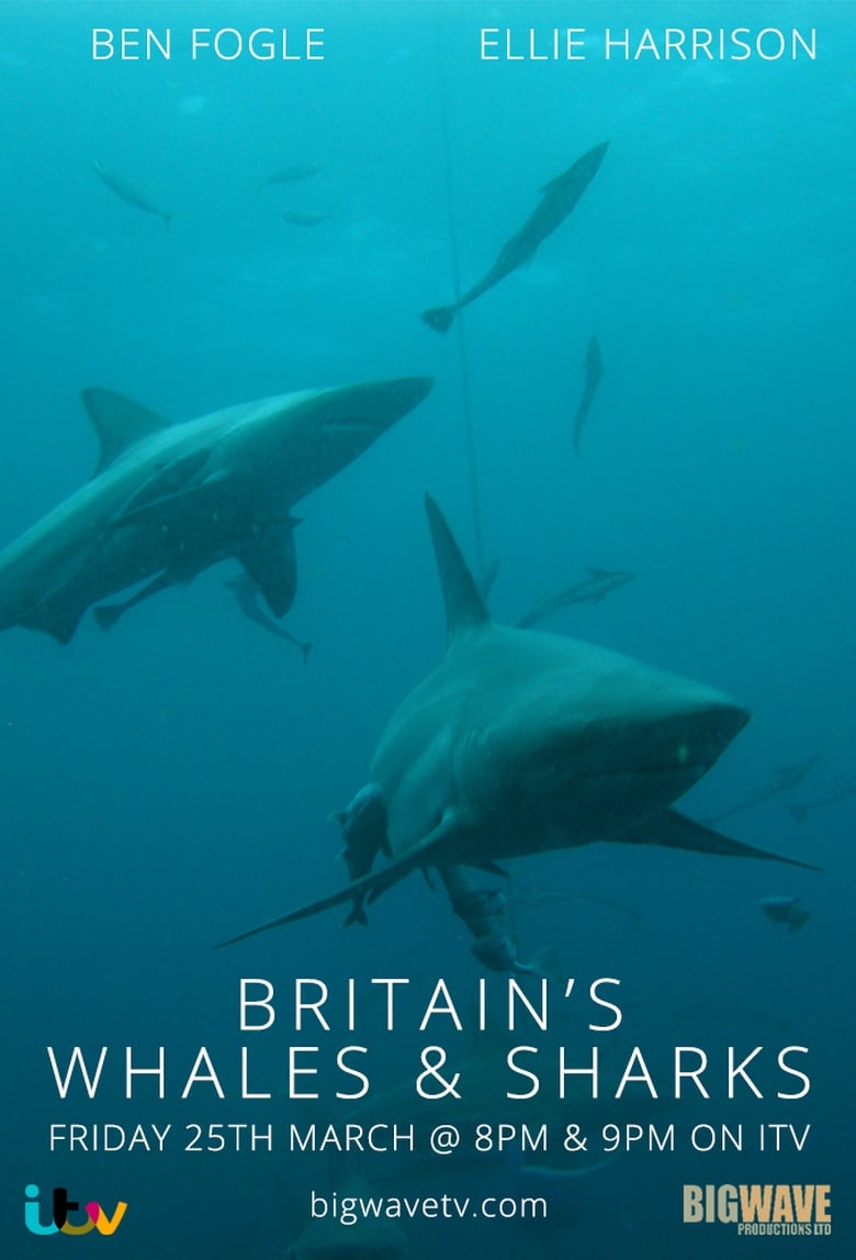 Poster of Britain's Whales and Sharks