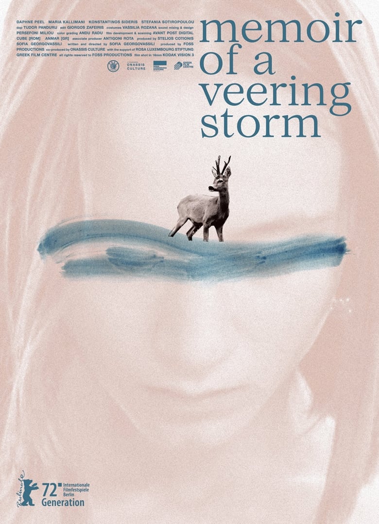 Poster of Memoir of a Veering Storm